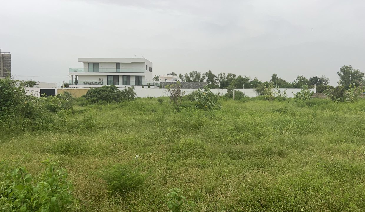 Terrains 300m2 à Saly 03