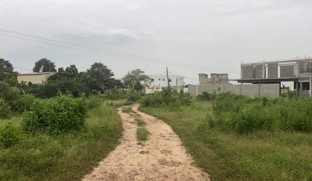 Terrains 300m2 à Saly 04