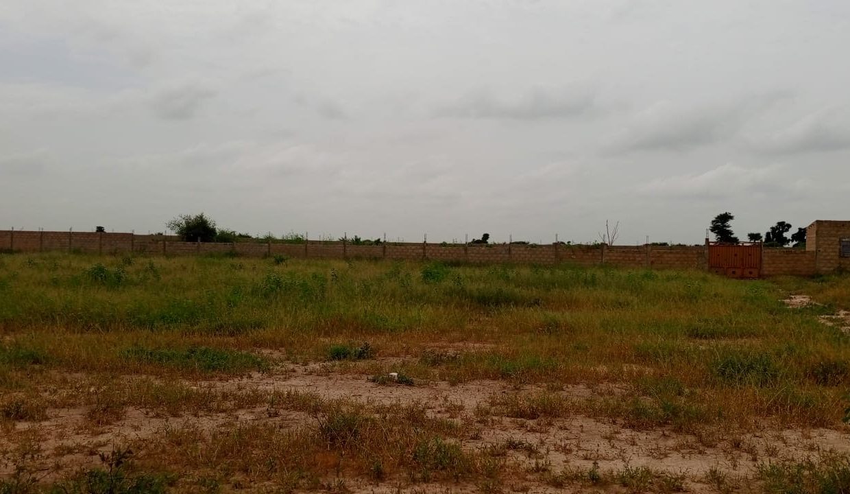 Terrains de 180m2 à Thiès 03