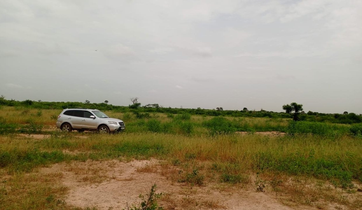 Terrains de 180m2 à Thiès 04