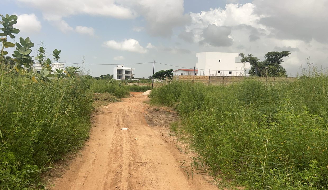 Terrains de 300m2 à Saly jo 02