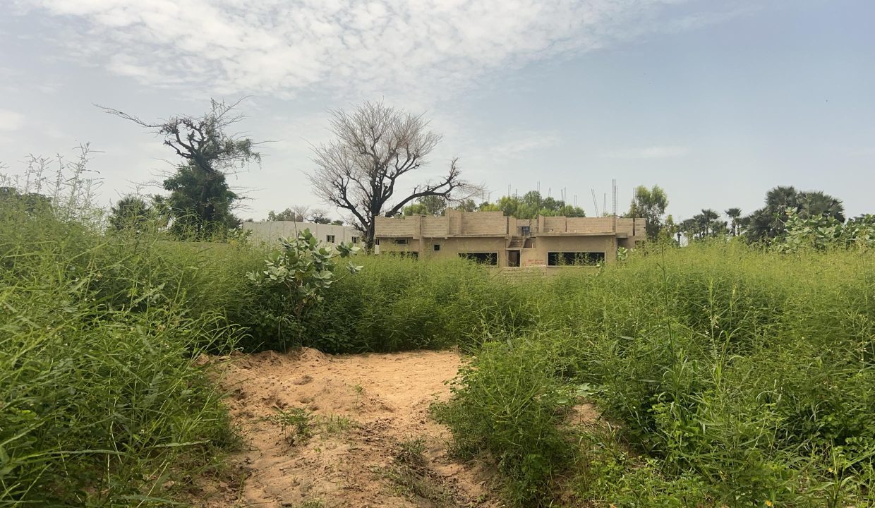 Terrains de 300m2 à Saly jo 03