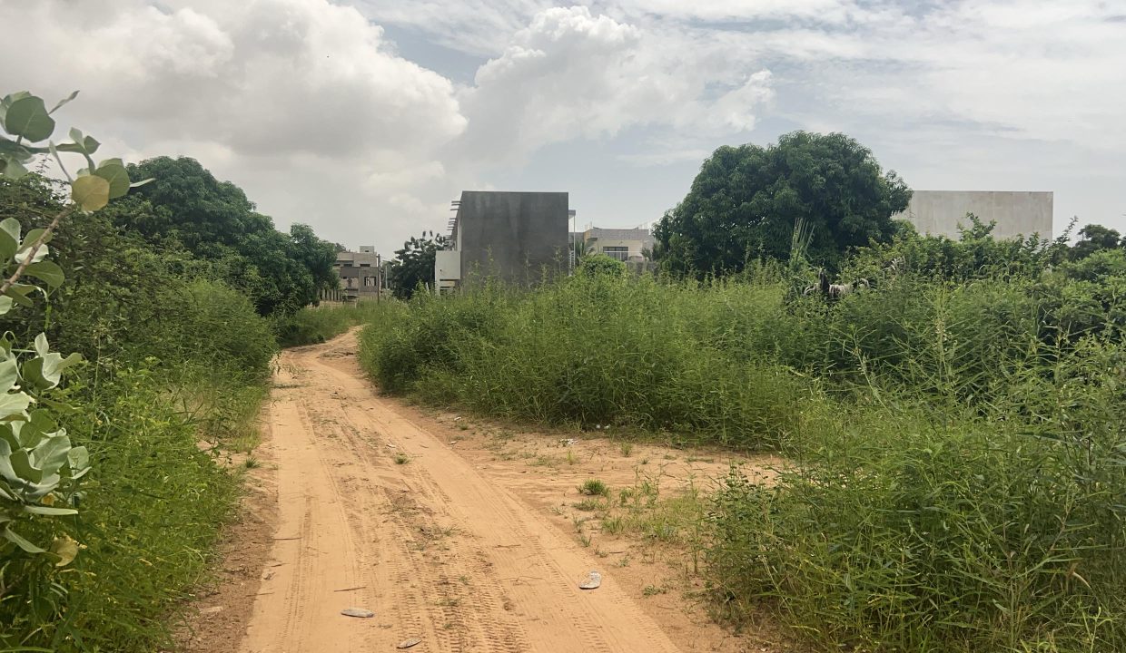 Terrains de 300m2 à Saly jo 04