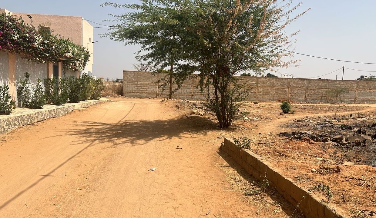 Terrain 1200m2 à Ngapa canda 03