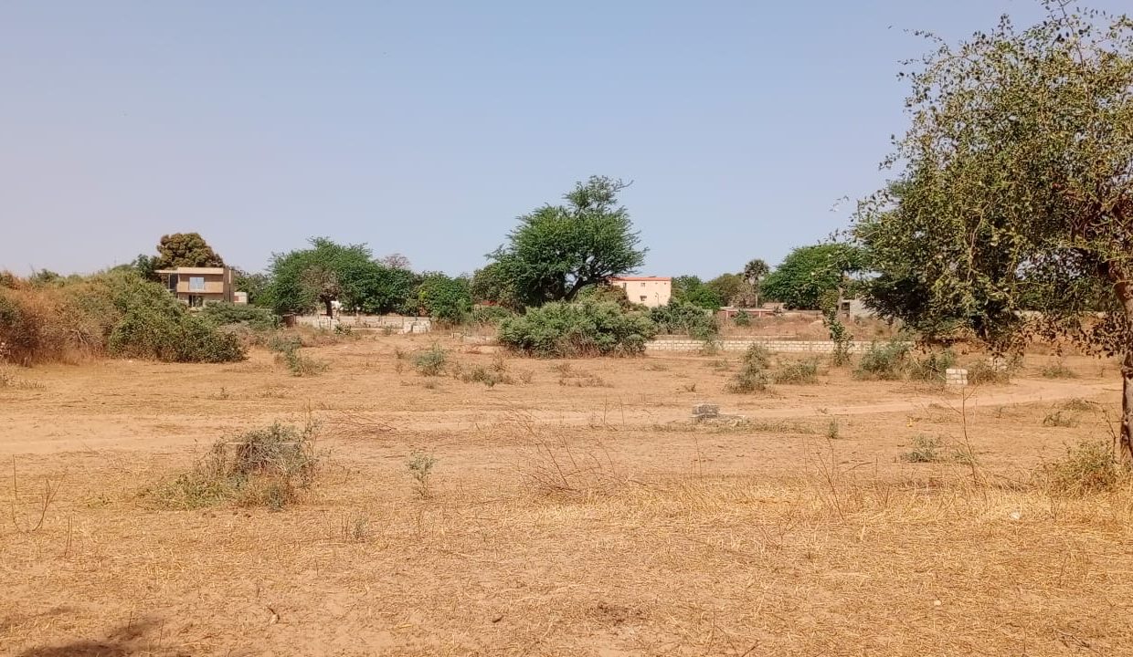 Terrains 300m2 à Malicounda kmB 03