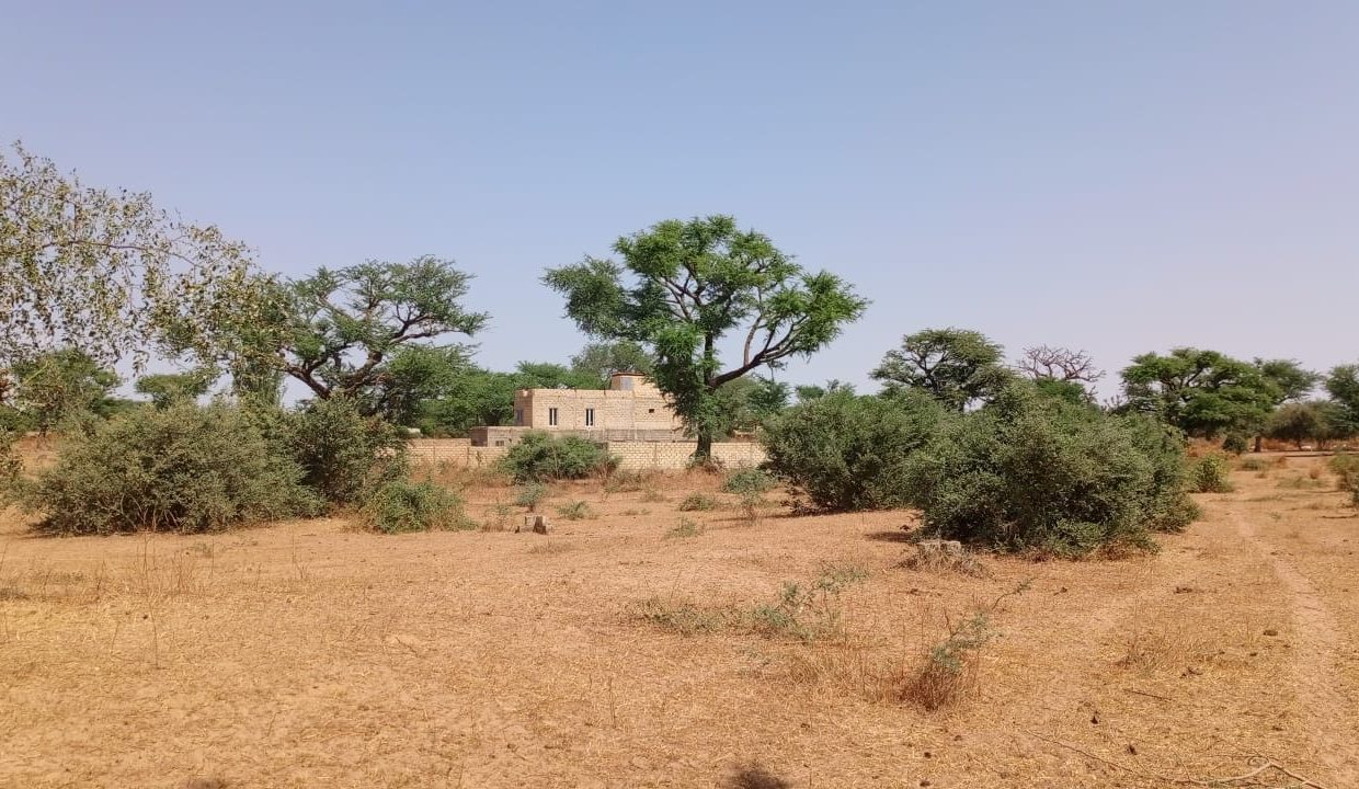 Terrains 300m2 à Malicounda kmB 04