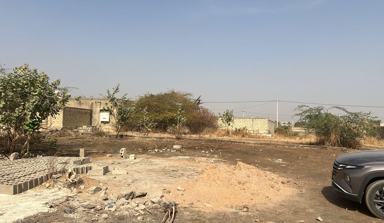 Terrains 300m2 à gandigal 04