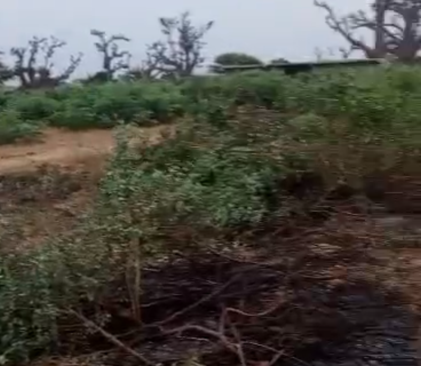 Terrain 300m2 à Malicounda péage 06