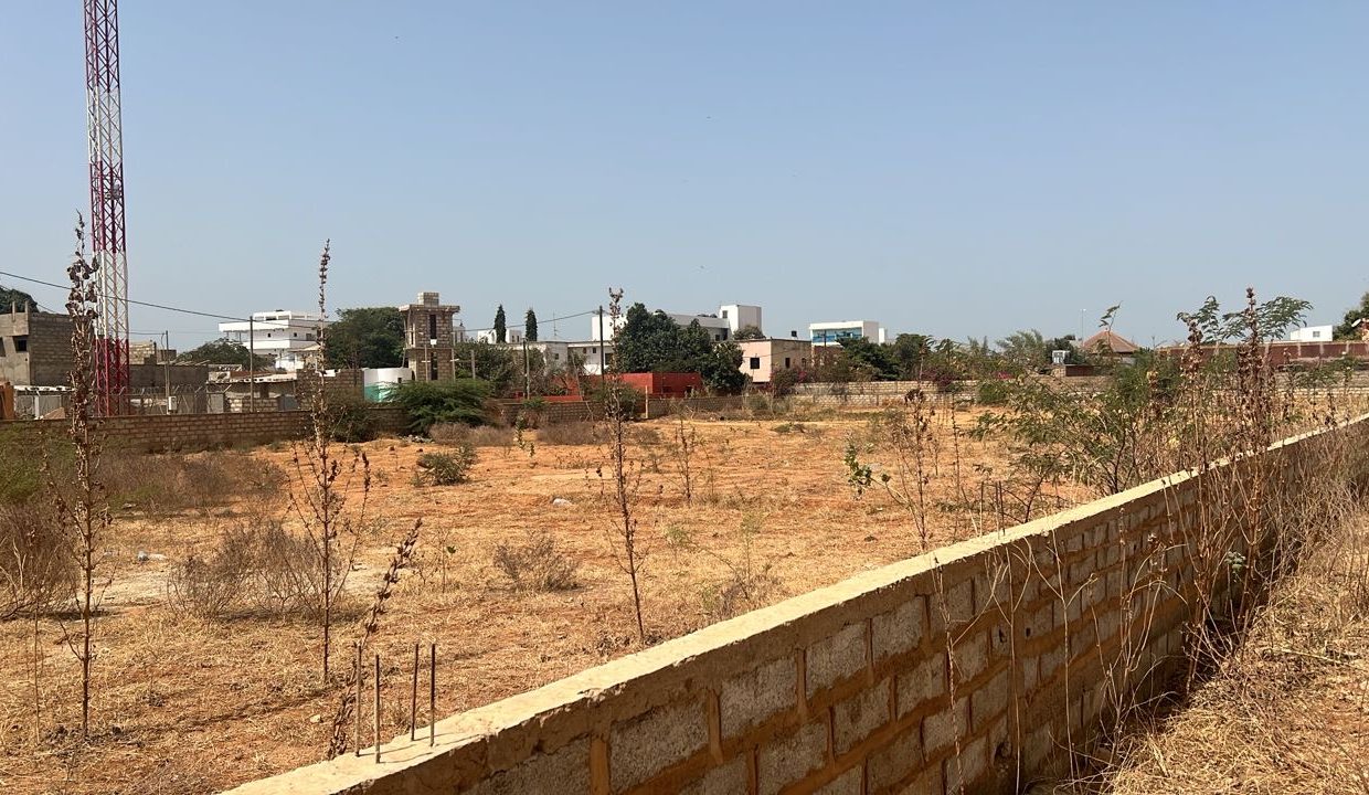 Terrain 3740m2 somone 02