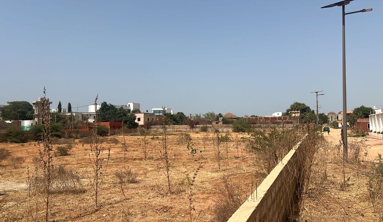 Terrain 3740m2 somone 03