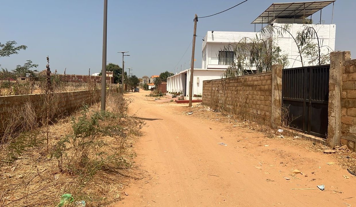 Terrain 3740m2 somone 04