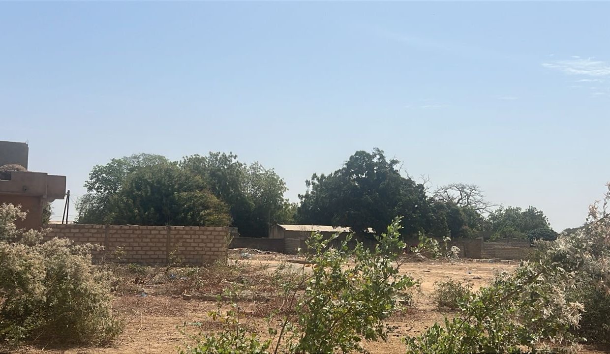 Terrain 400m2 à Malicounda 03