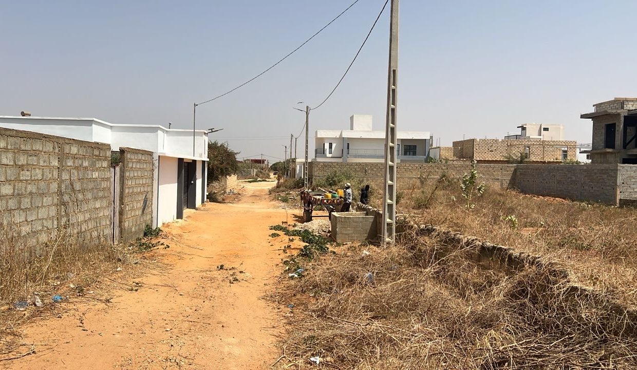 Terrain 600m2 à Somone 03