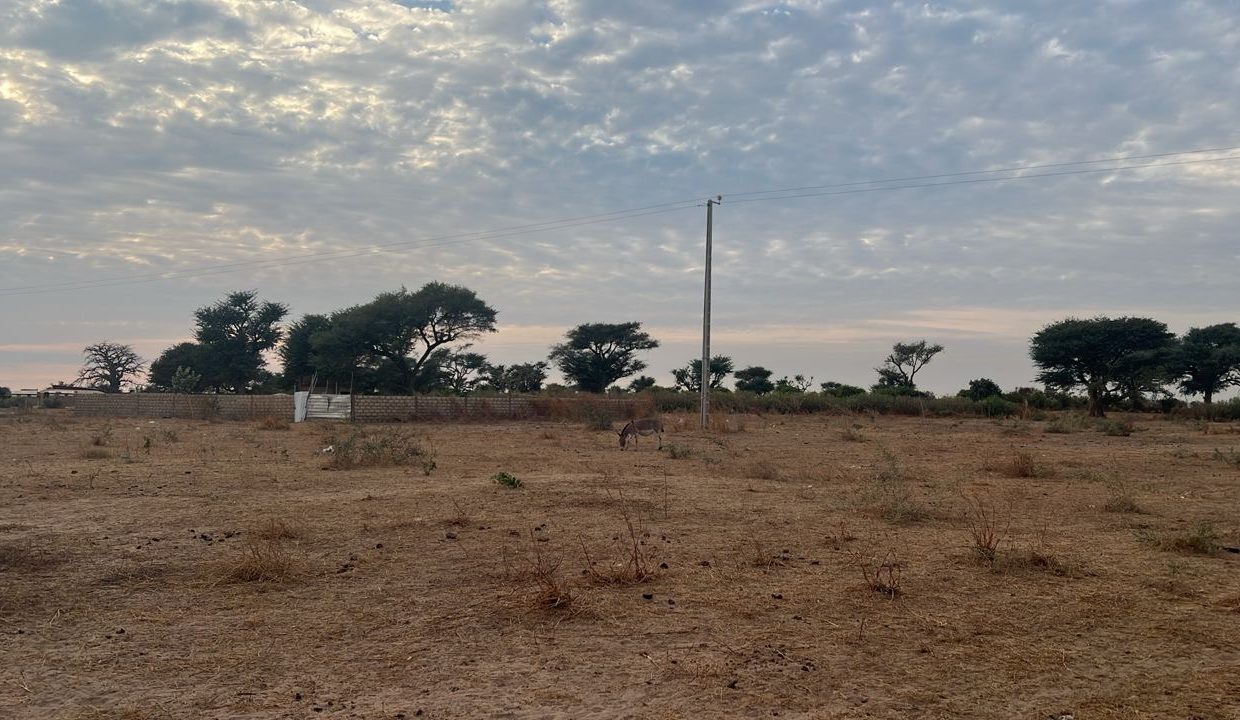 Terrains 225m2 à Babel 02