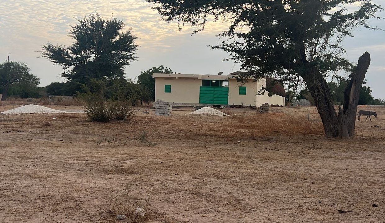 Terrains 225m2 à Babel 03