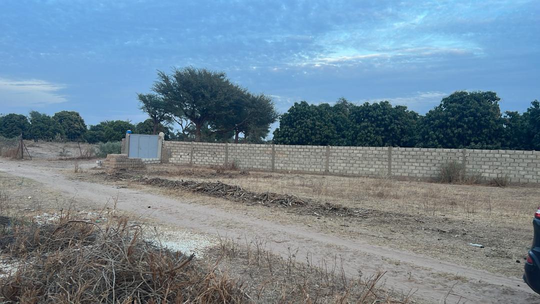 Terrains de 225 mètres carrés à vendre à Tène toubab