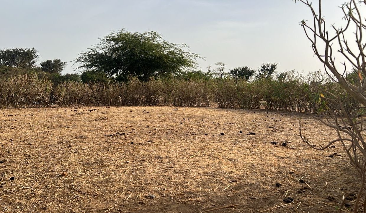 Terrain 300m2 à sinthiou 02