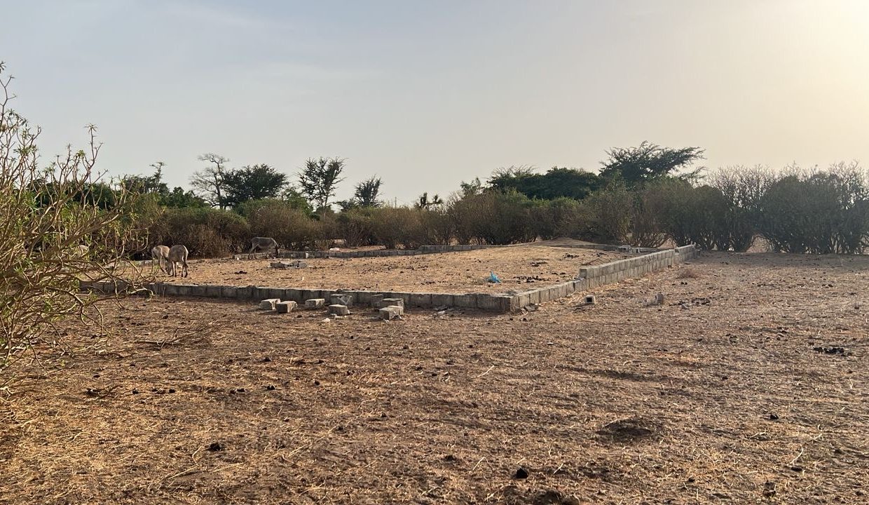 Terrain 300m2 à sinthiou 03
