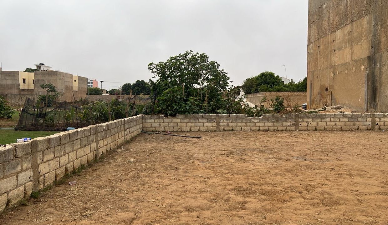 Terrain de 300m2 à Saly 01