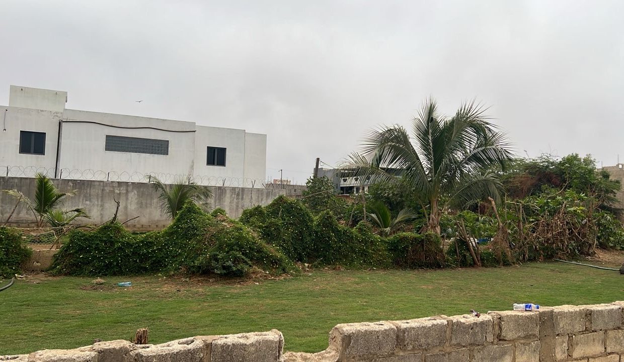 Terrain de 300m2 à Saly 03