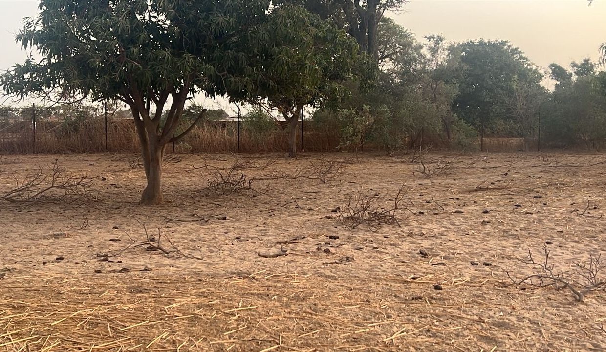 Terrain de 300m2 à vendre à Malicounda kmb 03