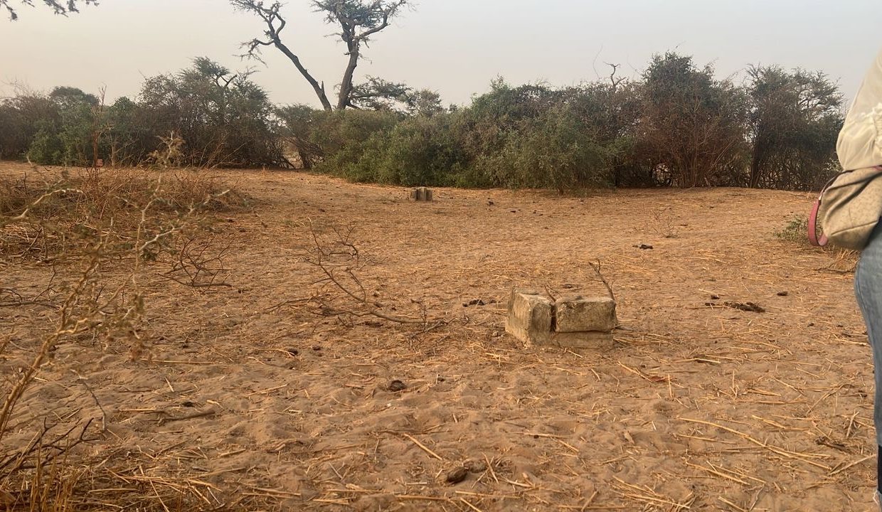 Terrain de 600m2 à malicounda 02