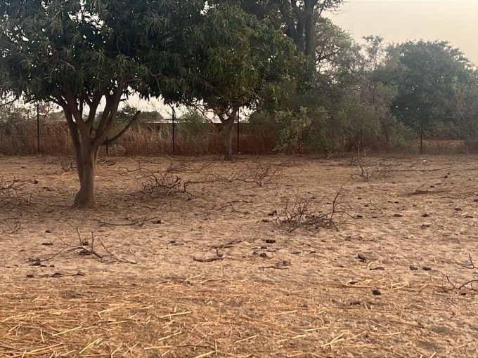 Terrain de 600 m2 à vendre à Malicounda Sénégal