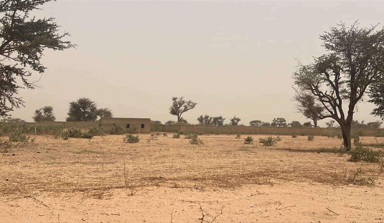 Terrain 225m2 à malicounda kmb 02