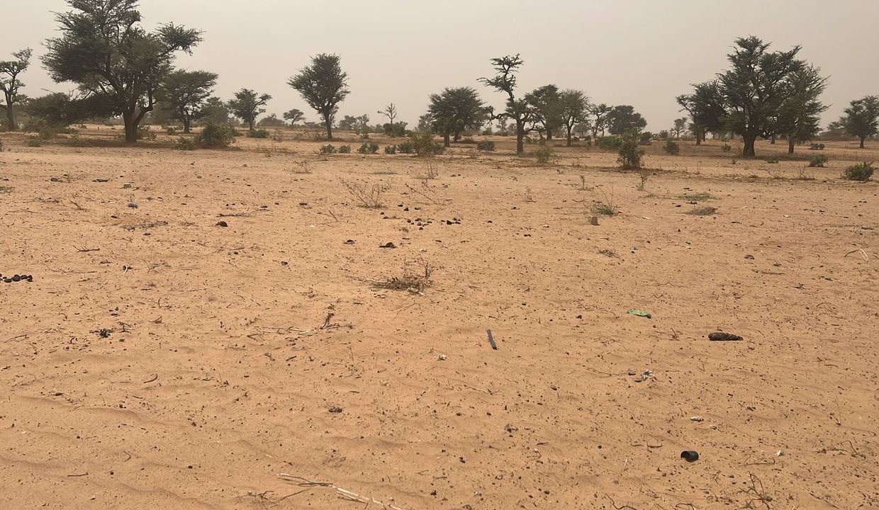 Terrain 225m2 à malicounda kmb 03