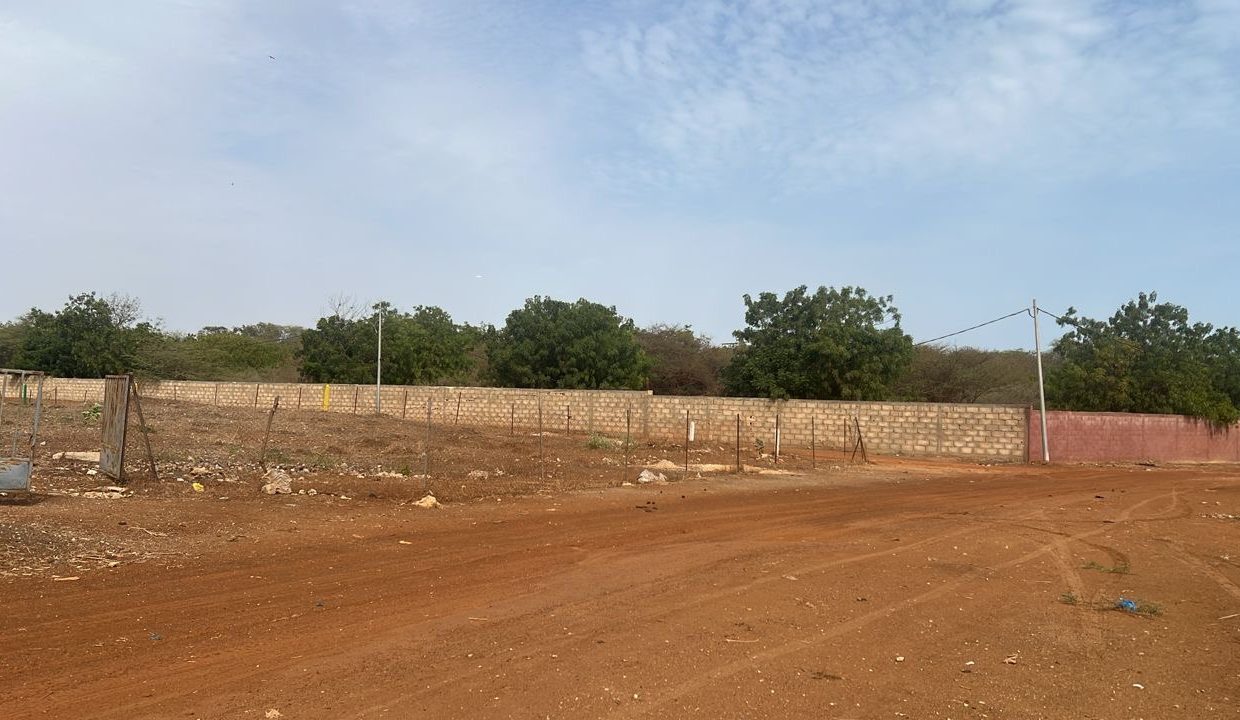 Terrain 300m2 à Ngaparou 04