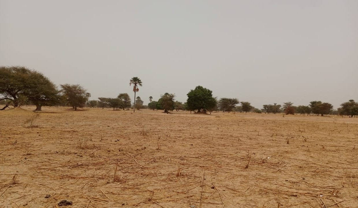 Terrain 4600m2 à Simal 02