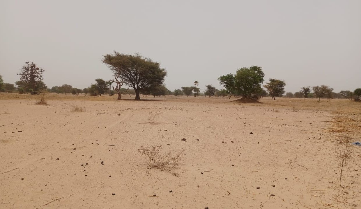 Terrain 4600m2 à Simal 03