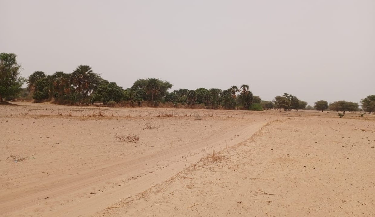 Terrain 4600m2 à Simal 04