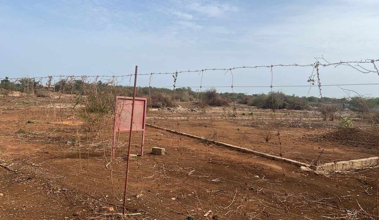 Terrain 600m2 à Ngapaou 02