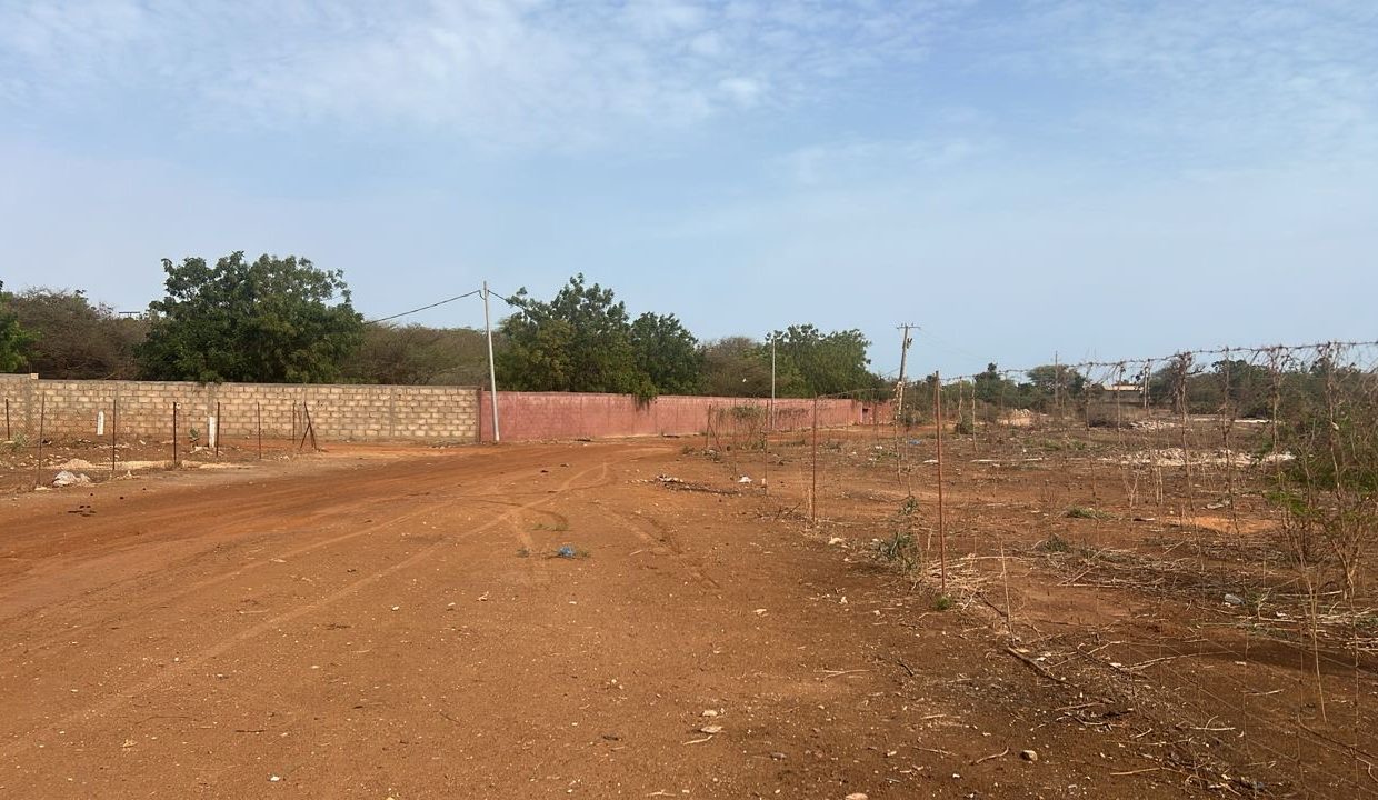 Terrain 600m2 à Ngapaou 03