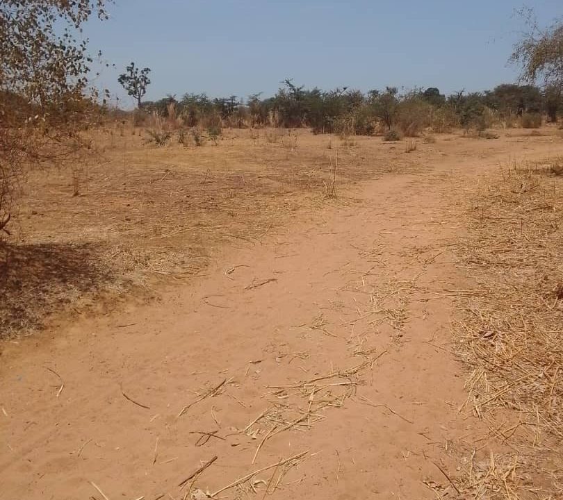 Terrain 600m2 à Sindia 02