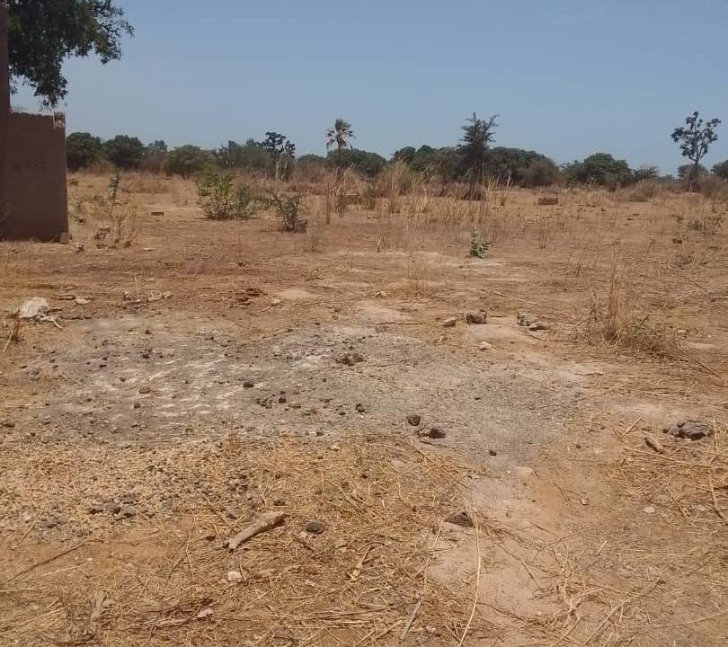 Terrain 600m2 à Sindia 03