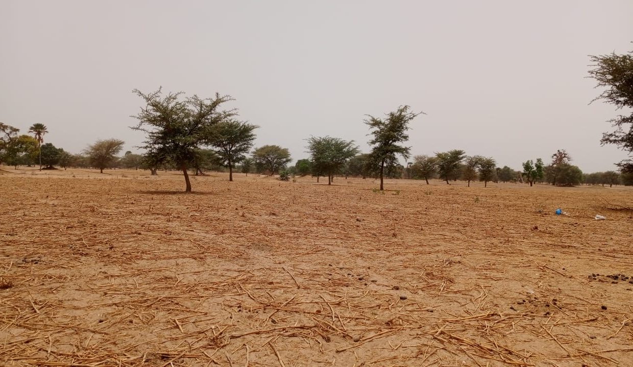 Terrain de 1.4 hec à Simal 01