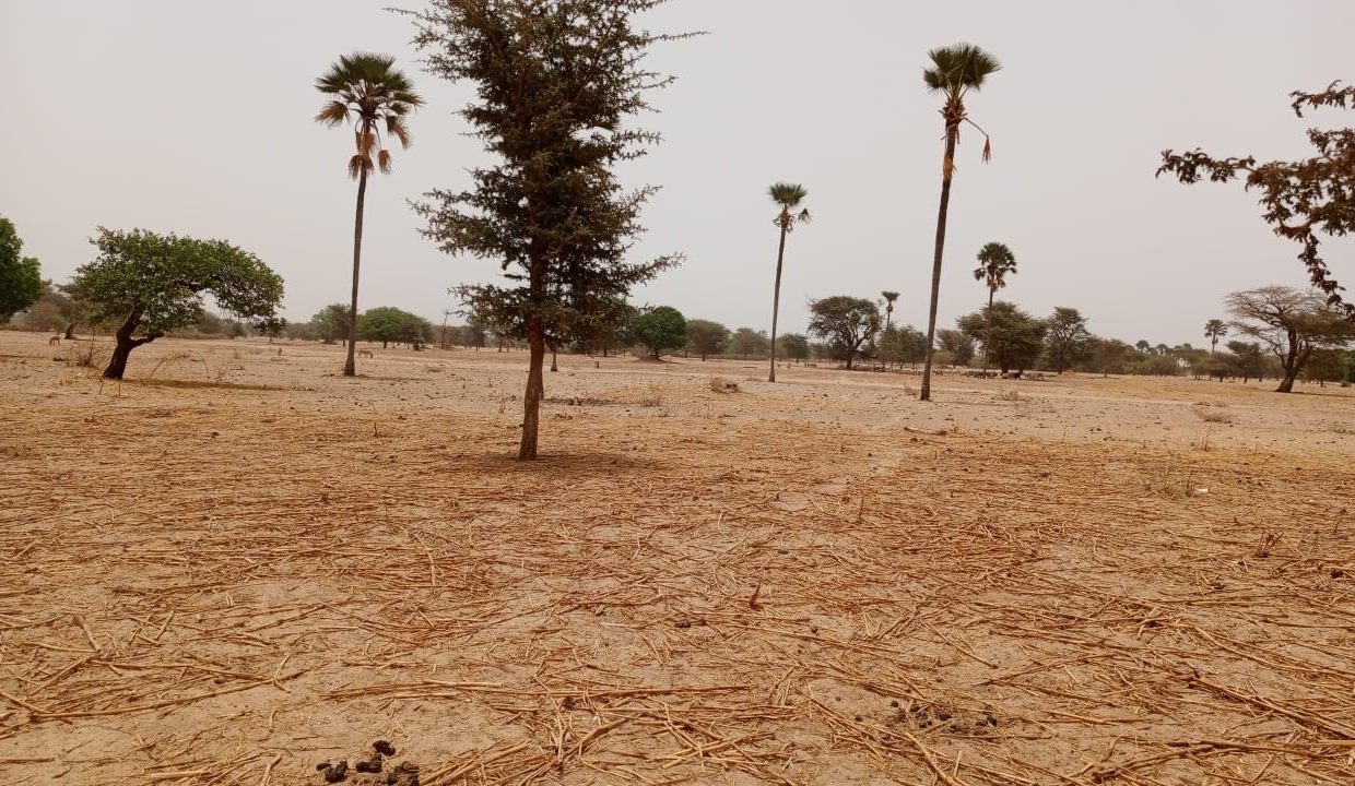Terrain de 1.4 hec à Simal 03