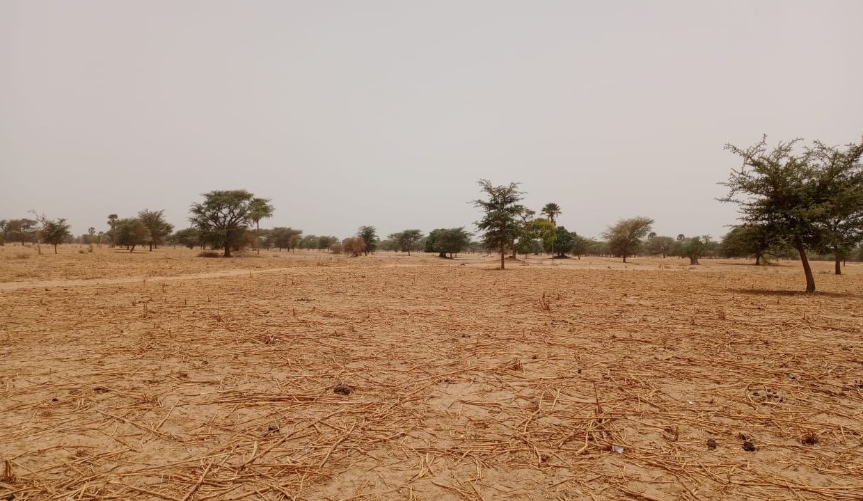 Terrain de 1.4 hec à Simal 04