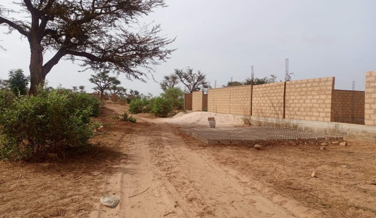 Terrain 225m2 à Malicounda 01