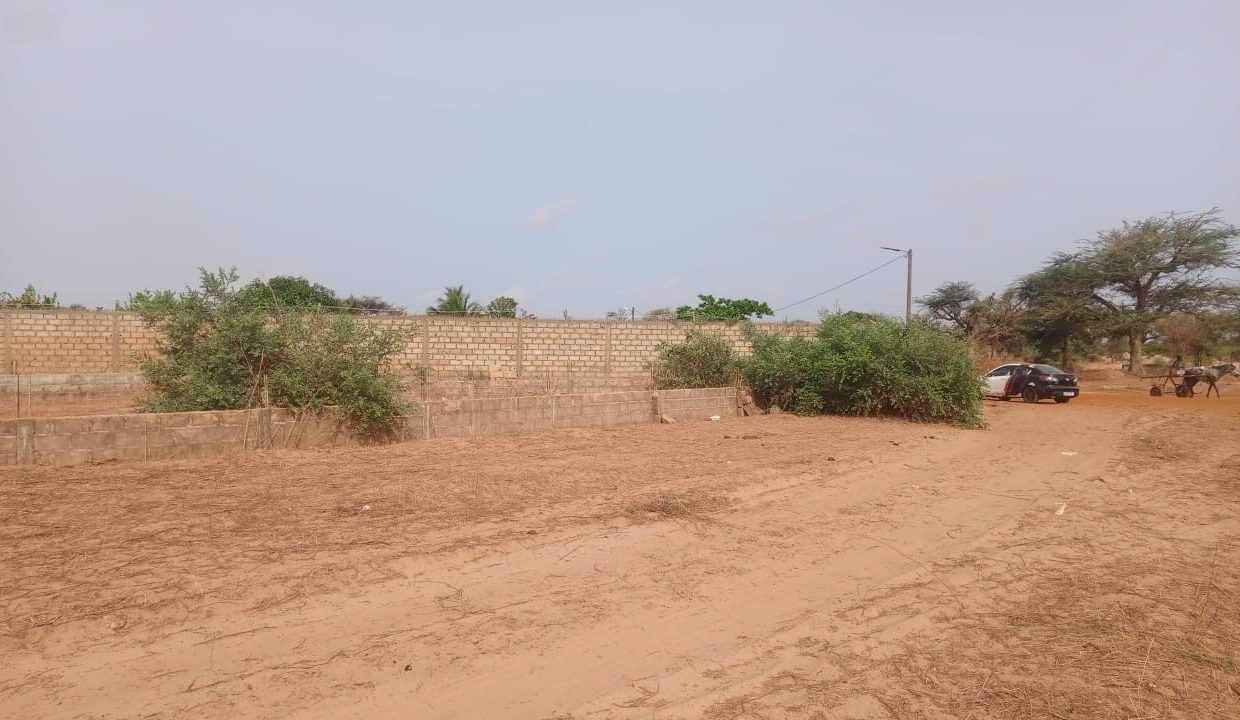 Terrain 225m2 à Malicounda 02