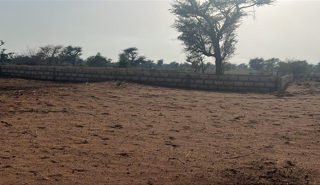 Terrain 225m2 à Malicounda 03
