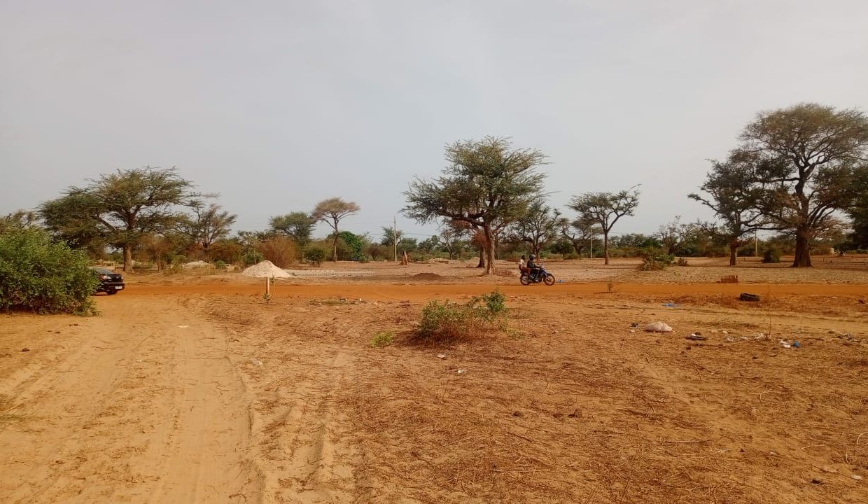 Terrain 225m2 à Malicounda 03