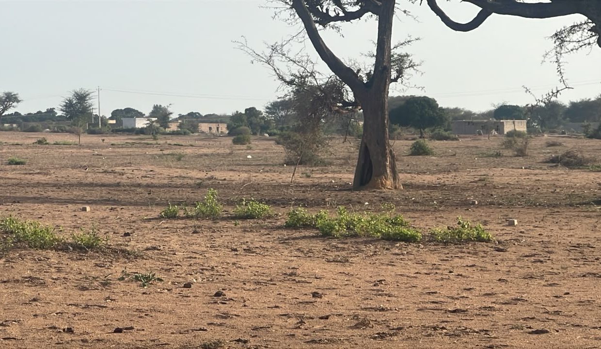 Terrain 300m2 à Malicounda 03