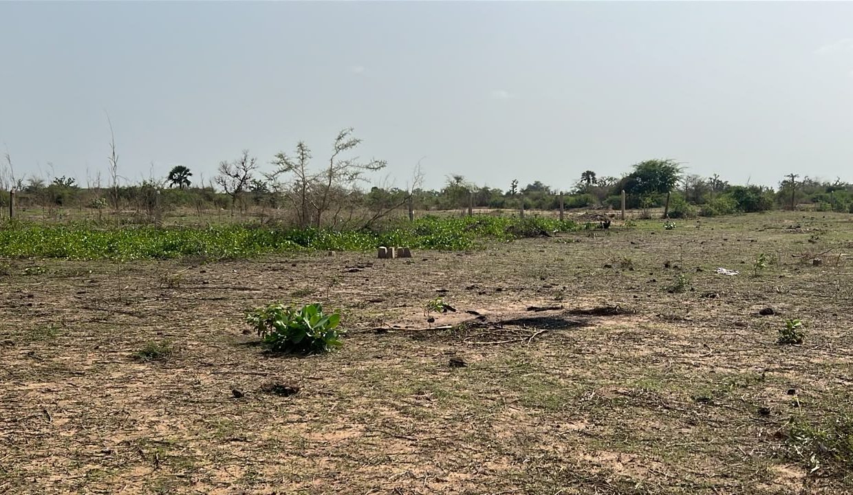 Terrains 300m2 à Somone 02