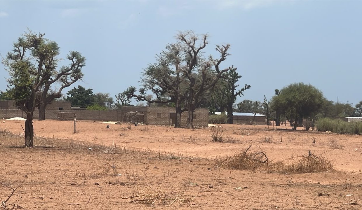 Terrains 300m2 à malicounda 03