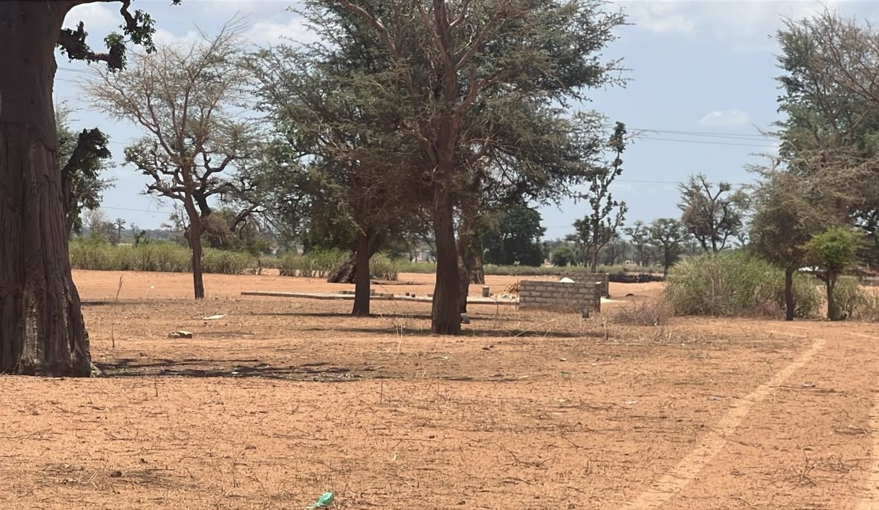Terrains 300m2 à malicounda 04