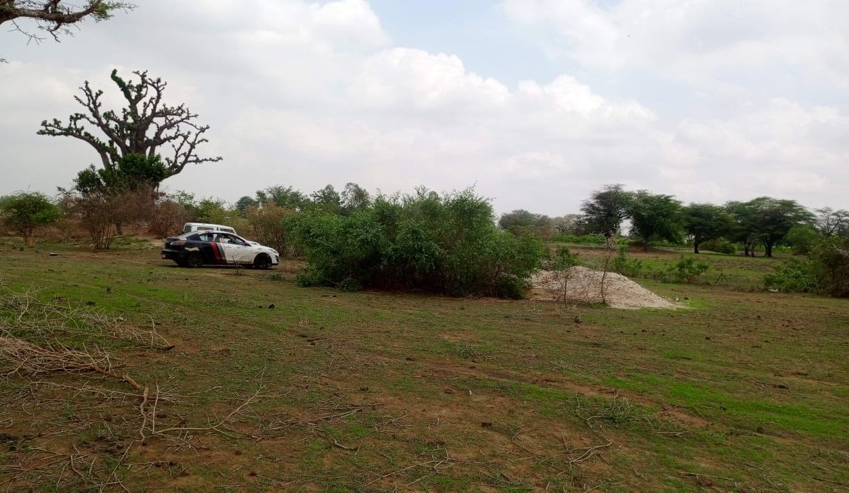 Terrain 1200m2 à Mbour 01