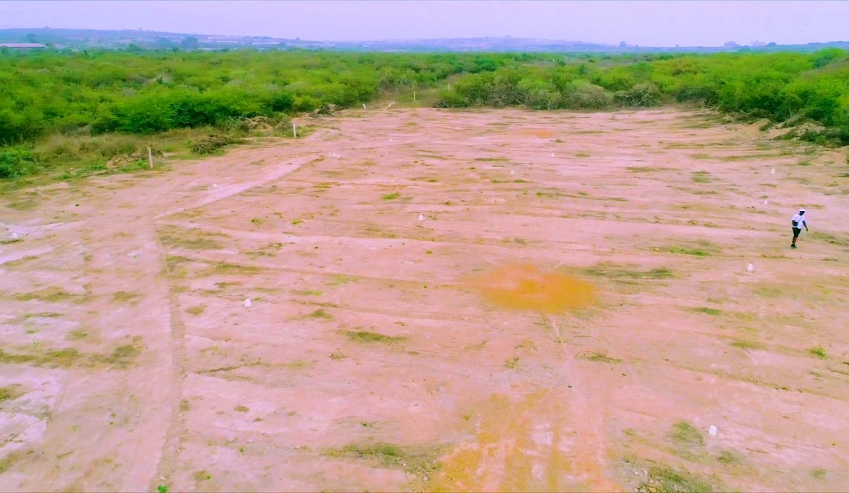 Terrain 1350m2 à yène niangal 06